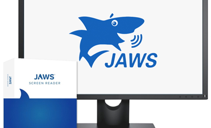 JAWS Professional for Windows (Physical)