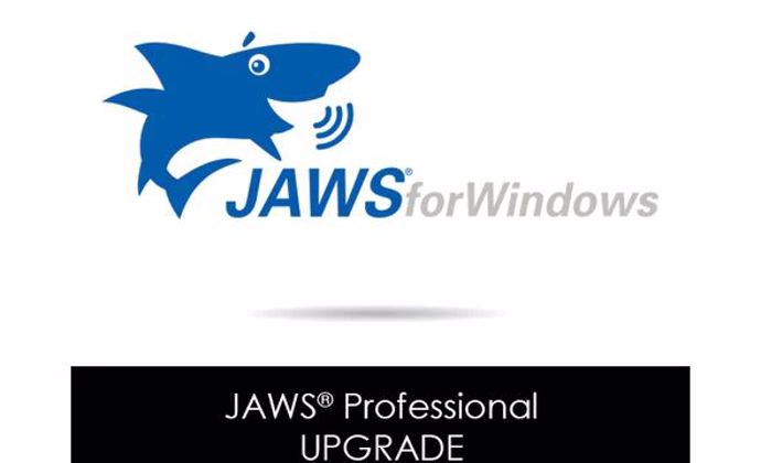 JAWS 3 or more Version Upgrade to Current Professional (Physical)