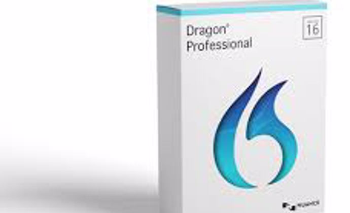 Dragon Professional 16