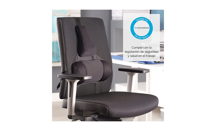 Fellowes Professional Series Back Support on a chair