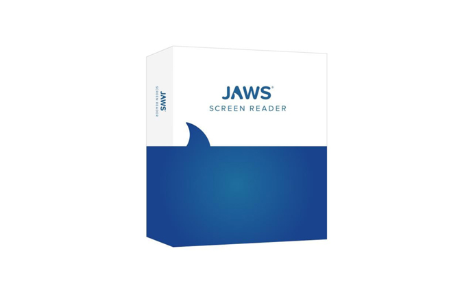 JAWS Professional for Windows