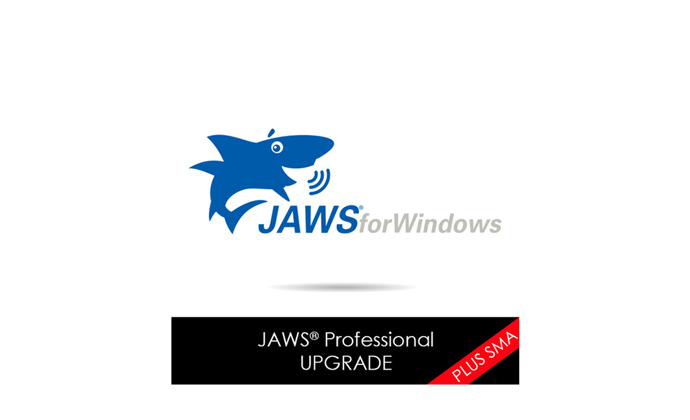 JAWS Single Version Upgrade to Current Professional